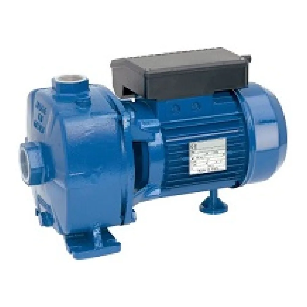Bomba Centrifuga Reggio Ssbj 200T 2HP 380V