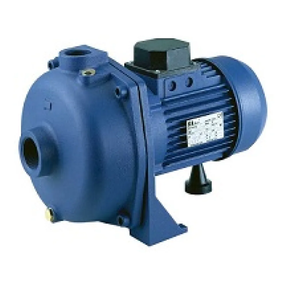 Bomba Centrifuga Reggio Stbj 200 2HP 220V