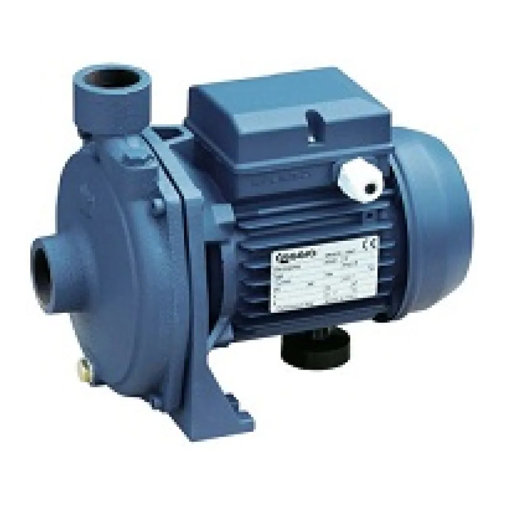 Bomba de Agua Reggio 1 HP Stm 100