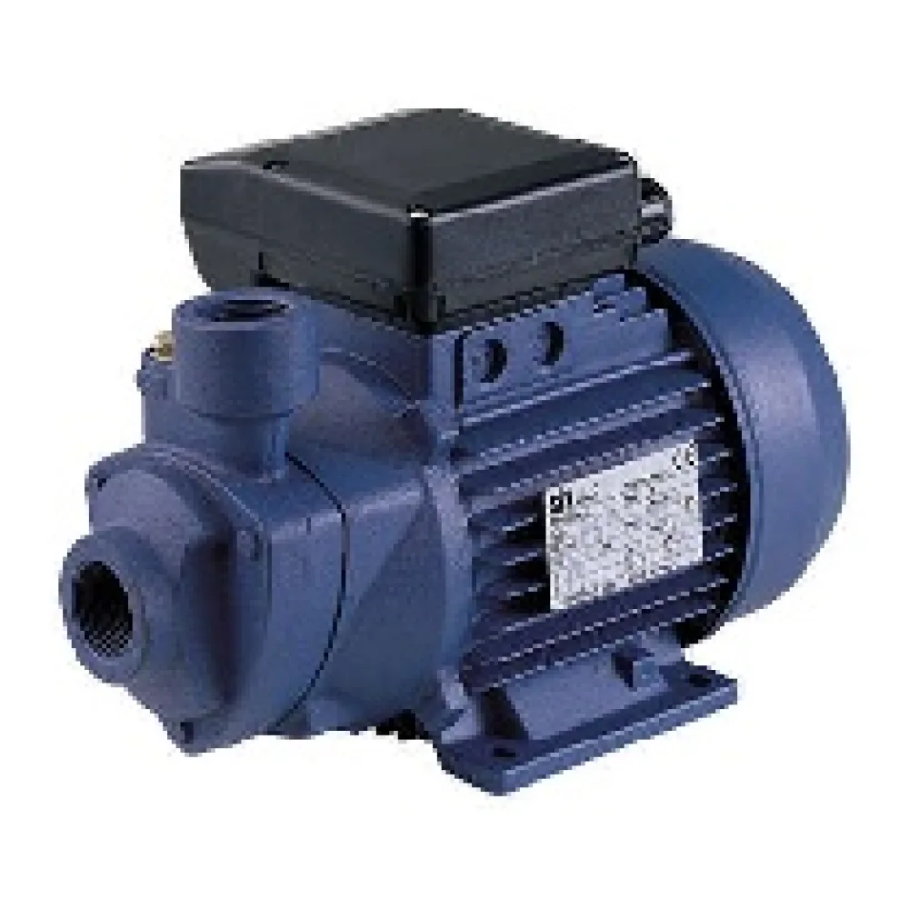 Bomba Periferica Reggio Sp 100 1HP 220V