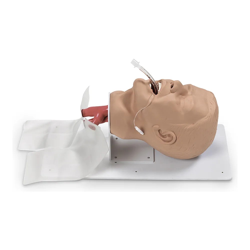 Cabeza Intubacion Adulto Simulaids 101-500