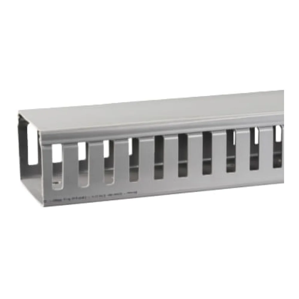 Canaleta Ran/gris Dxn 25X40MM X Tira T10042003 Schneider Electric