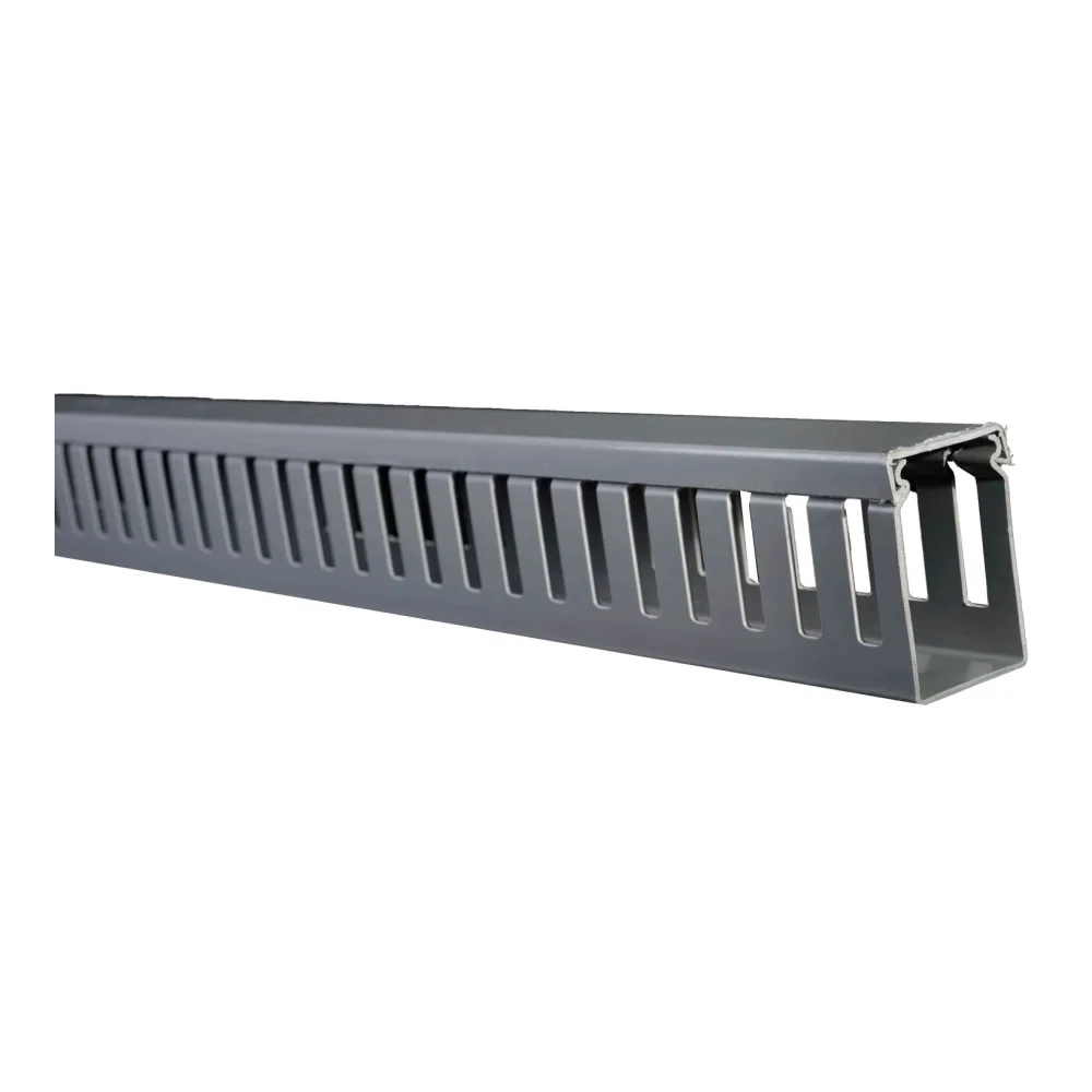 Canaleta Ran/gris Dxn 40X60MM X Tira T10072003 Schneider Electric