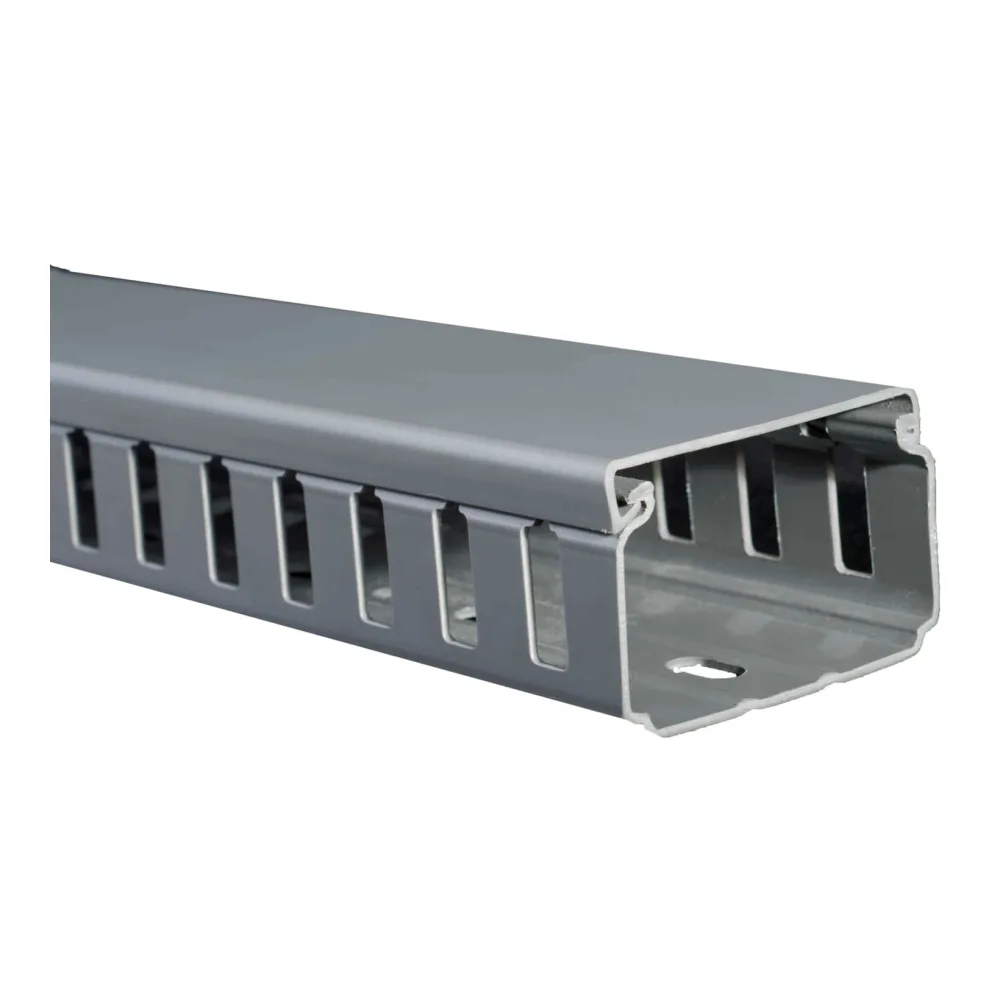 Canaleta Ran/gris Dxn 60X40MM X Tira T10082003 Schneider Electric
