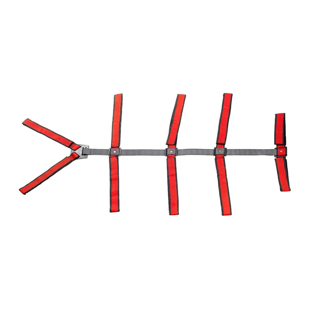 Correa Araña para Tabla Espinal IRON-X