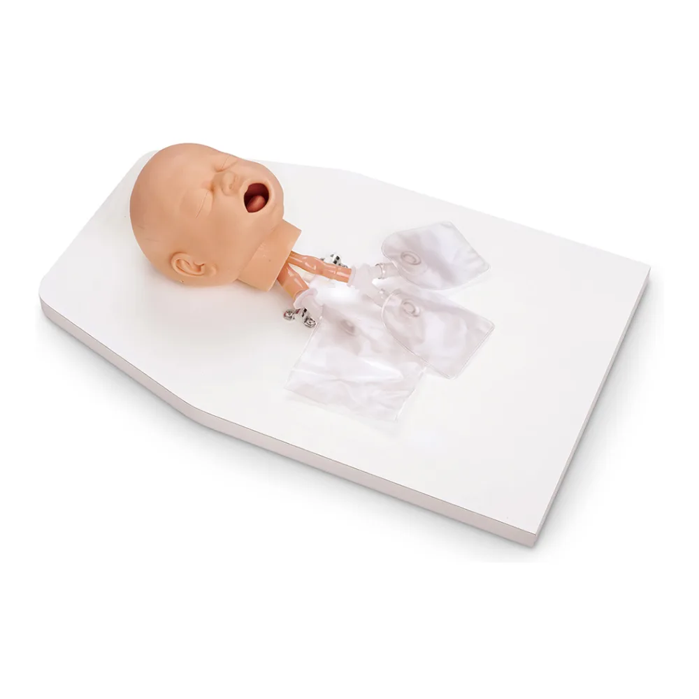 Entrenador Manejo Via Aerea Neonatal LF03623 Simulaids
