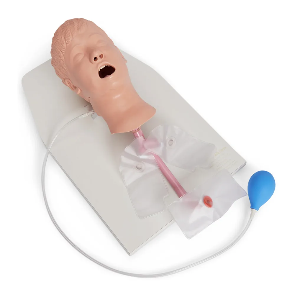 Entrenador Manejo Via Aerea Pediatrico LF03609 Simulaids