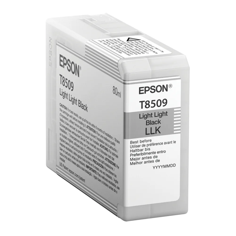 Epson Cartucho de Tinta Negro Extra Claro T850 T850900