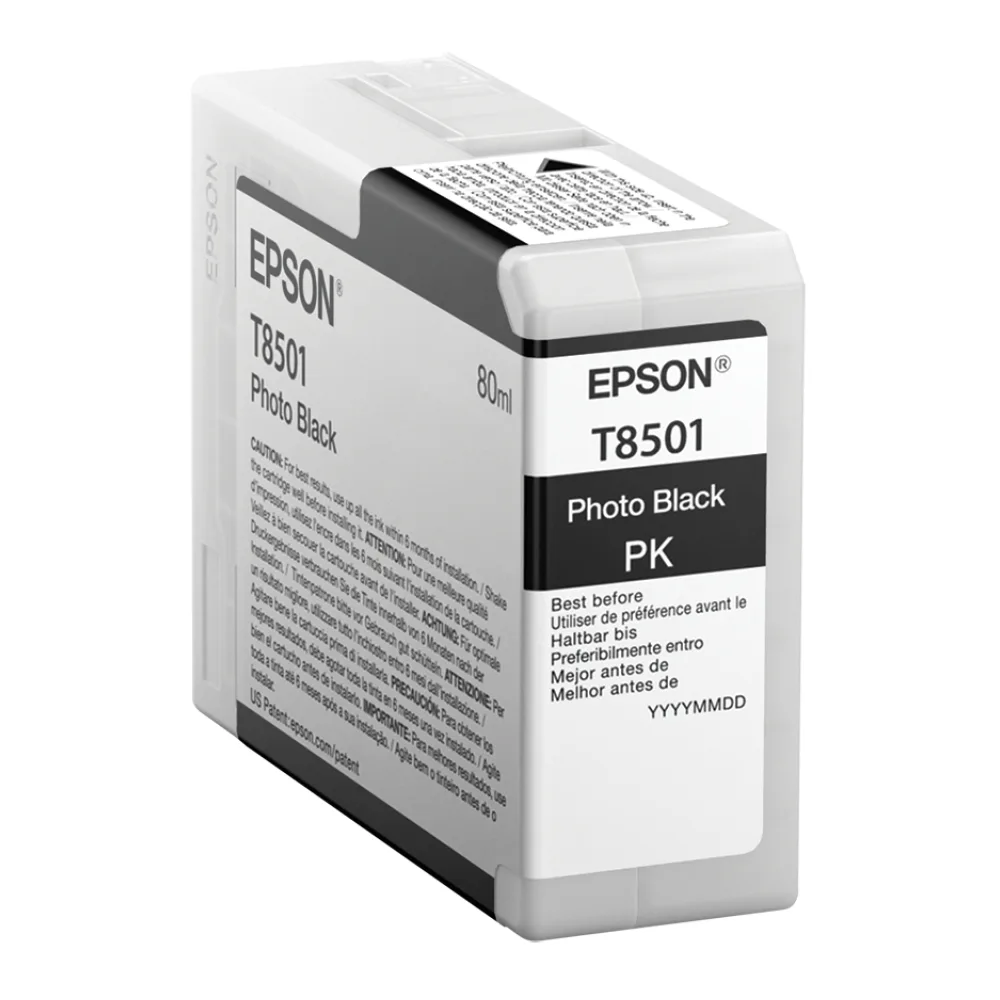 Epson Cartucho de Tinta Negro Foto T850 T850100