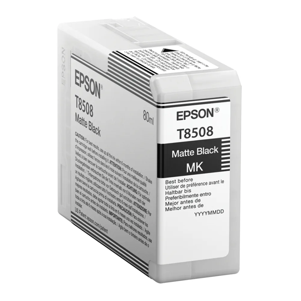Epson Cartucho de Tinta Negro Mate T850 T850800
