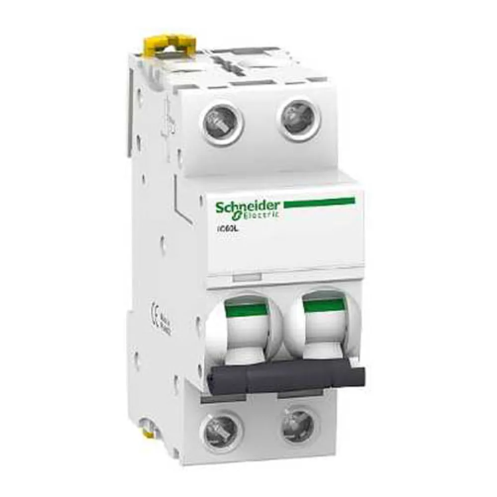 Interruptor Termomagnetico IC60L 2P 40A Curva C 9424059 Schneider Electric