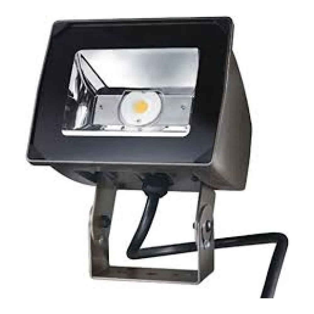 Proyector Sobreponer 51W IP66 1006129 Eaton