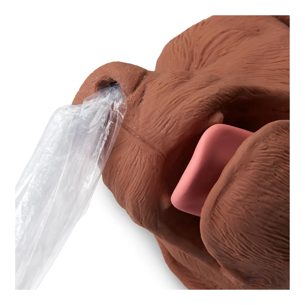 Simulador de Rcp Canino 100-5000 Simulaids