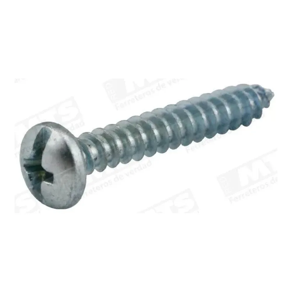 Tornillo Roscalata 1 X 6 (c/u)