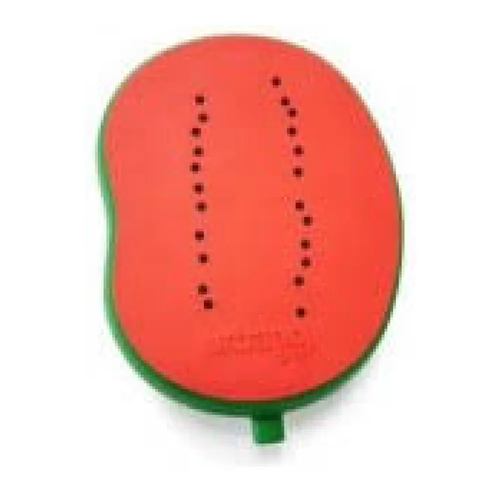 Urbano Parlante Portátil Design Cactus UD-SPBT33