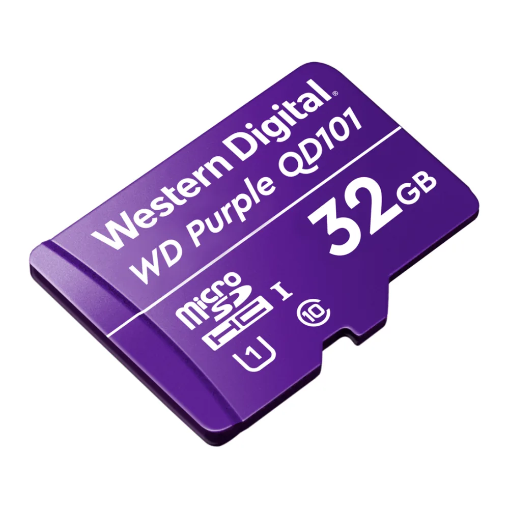 Western Digital Memoria Flash Surveillance CLASS10 32GB WDD032G1P0C